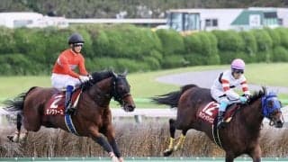 【東京ハイジャンプ】ゼノヴァースが障害重賞初制覇！オジュウチョウサンは敗れる