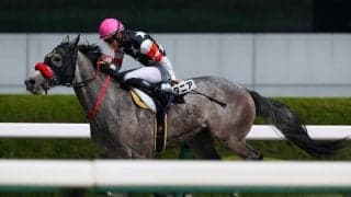 【新馬/阪神4R】ハービンジャー産駒 ブリタニアが4馬身差完勝