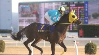 【浦和・埼玉新聞栄冠賞枠順】3連覇狙うタービランスは8枠12番 浦和記念の前哨戦に12頭集う