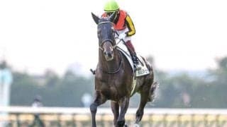 【天皇賞・秋】シャフリヤール、ジャックドールらが登録