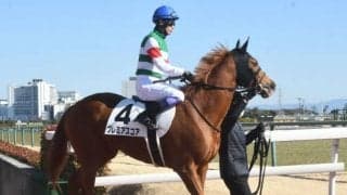 10月16日の競走中止、出走取消、疾病の一覧 プレミアスコア落馬など/東京・阪神・新潟