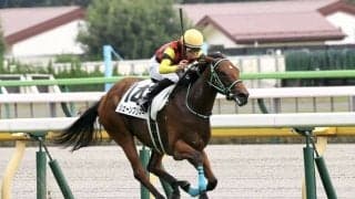 【新馬/東京5R】リアルスティール産駒 シェーンプリマーが逃げ切りV