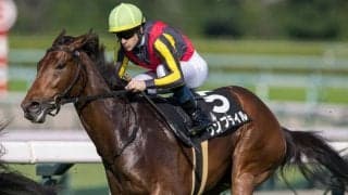 【もみじS】断然人気 ウンブライルが圧勝