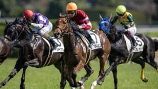 【阪神3R】武豊 ランフリーバンクスが初勝利