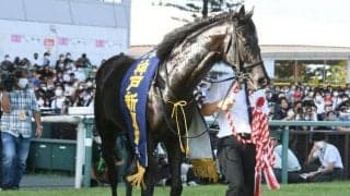 混戦模様のクラシック最終戦・菊花賞、マイルCS前哨戦の富士S/今週の競馬界の見どころ