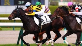 【新馬/阪神5R】良血ルモンドブリエがデビューV！母は仏二冠牝馬