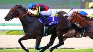 【秋華賞】 スタニングローズがG1初制覇！スターズオンアース三冠ならず
