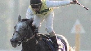 ウマ娘でも強い逃げ馬のセイウンスカイ。菊花賞で見せた策士ぶりを振り返る