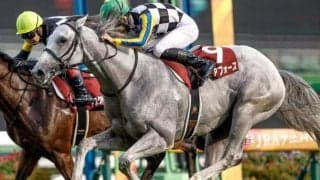 【菊花賞枠順確定】ガイアフォースは1枠1番、アスクビクターモアは7枠14番