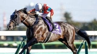 香港スプリントに日本馬16頭が登録 重賞6勝の快速牝馬、春・秋のスプリント王者など