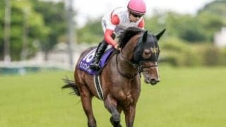 香港マイルに日本馬27頭が登録 3歳マイル王、ダートGI・3勝馬、安田記念覇者など