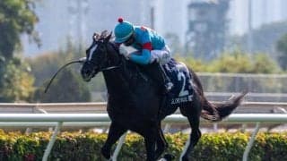 香港ヴァーズに日本馬23頭が登録 昨年の覇者、秋華賞馬、GI・7勝をあげた名牝の娘など