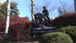 全日本学生馬術大会 3日目総合馬術【見逃し配信】