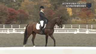 全日本学生馬術大会 2日目総合馬場馬術【見逃し配信】