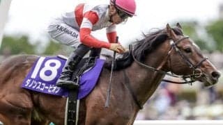 【富士S出走馬・騎手確定】ダノンスコーピオン＆川田将雅騎手、セリフォス＆藤岡佑介騎手など16頭