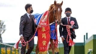 香港カップに日本馬33頭が登録 皐月賞馬、ドバイターフ覇者、一昨年の2歳王者など