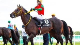 【菊花賞】8分の3の抽選をユーバーレーベンの半弟などが突破 弥生賞3着馬は除外に