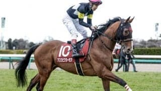 【菊花賞 調教後馬体重】13頭が前走から2ケタ増減 ガイアフォース488kg、アスクビクターモア480kg