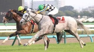 【菊花賞】ガイアフォースは1枠1番へ