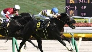 主役不在の菊花賞。穴党記者が推すのは相当な変わり身が期待できるダービー出走馬２頭