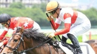 【富士S枠順確定】ダノンスコーピオンは7枠14番、セリフォスは5枠10番