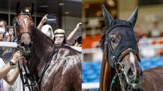 上がり3F「31秒4」の衝撃再び アルテミスSの出走想定馬