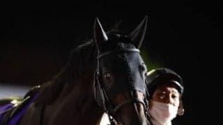 昨年の武蔵野S覇者が跛行のため放牧へ 秋白紙で連覇挑戦見送り