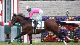 菊花賞はセントライト記念組が有力も、神戸新聞杯惨敗で人気が急落した素質馬の逆襲に要注意