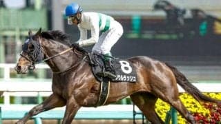 【富士S予想】マイルCSや香港マイルを見据えた一戦 春に重賞初制覇を果たした上がり馬に期待