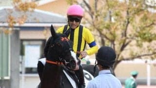 【阪神5R新馬戦結果】シングザットソングが人気に応えて差し切る