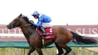 11戦10勝のバーイードが英・シャドウェルスタッドで種牡馬入り 注目の種付け料は発表されず