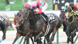 【兵庫特別】菊花賞除外の4頭が1着から4着を独占 インプレスが差し切りV