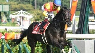 【菊花賞予想】前走人気が能力の指標!? 鵜呑みにできない圧巻の競馬