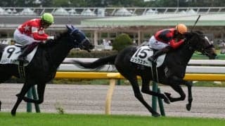 【新馬/東京3R】エピファネイア産駒 リックスターがデビューV