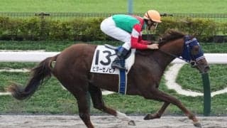 【新馬/東京4R】ヘニーヒューズ産駒 ビターゼノビアが5馬身差圧勝