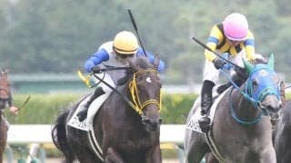 【新馬/新潟5R】エピファネイア産駒 フィレットがデビューV