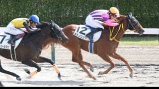 【新馬/新潟5R】トランセンド産駒 ヨドノリリーがデビューV