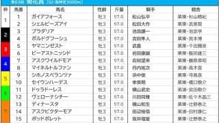 【菊花賞／前日オッズ】ガイアフォースが単勝3.6倍で1人気　馬連は2人気以下が10倍以上の“2強”状態