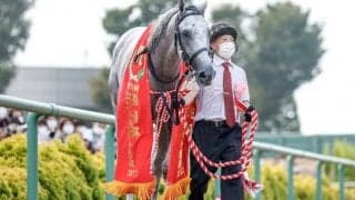 【菊花賞前日オッズ】ガイアフォースが3.6倍で1番人気、アスクビクターモアが続く