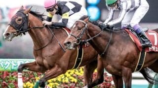 【AI予想・菊花賞】未知の舞台が妙味を生む!? 逆らえない「◎」実績十分の一頭とは