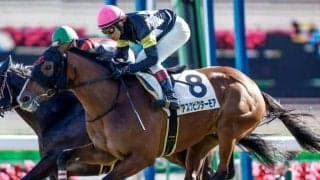 【今日の注目ポイント】阪神でクラシック最終戦・菊花賞