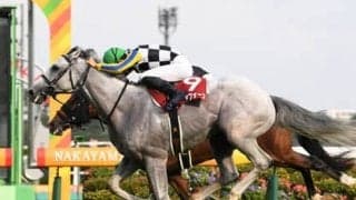 菊花賞は露骨なサインを匂わせているＧＩヘッドラインからあぶり出した３頭を狙え