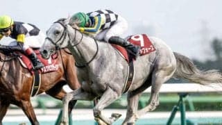 【菊花賞予想】底力問われる3000mの舞台 遅れてきたクラシック候補の悲願達成なるか