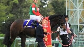 皐月賞馬エポカドーロの弟、ジャスティンレオンは「大型で筋肉質。兄とは違うタイプ」