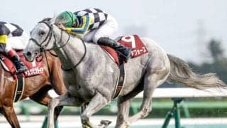 【菊花賞予想】上位人気3頭は揃って消えることはない？ 3着に食い込む人気薄の前走共通点とは？