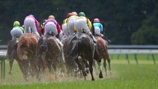 【菊花賞／馬場情報】阪神芝は完全に「外差し」　土曜2戦2勝のドゥラメンテ産駒にも注目