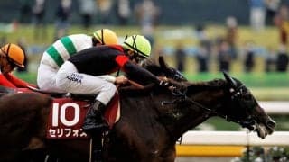 【富士S】3歳馬セリフォスが古馬を一蹴
