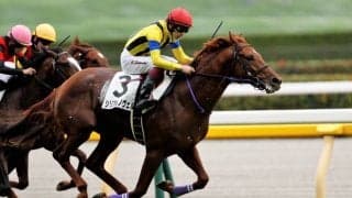 【新馬/東京5R】ノヴェリスト産駒 シリアルノヴェルが波乱を演出