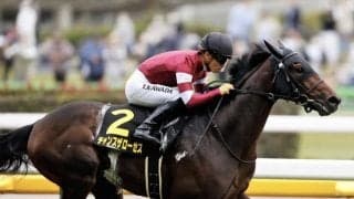 【アイビーS】チャンスザローゼスが鮮やかな逃げ切り