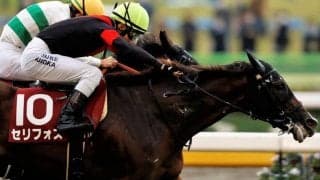 【富士S】藤岡佑「G1馬になる資格のある馬」セリフォスが人気に応える